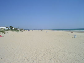 Beach of Conil